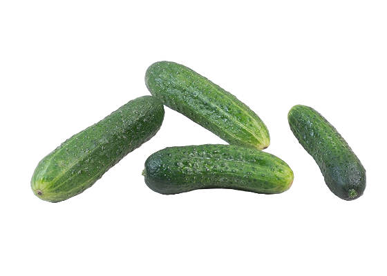 43d563ebf6d3d5683400abde1cf0f8758b196619